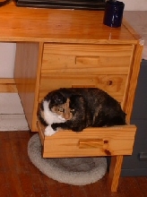 sooperbising
