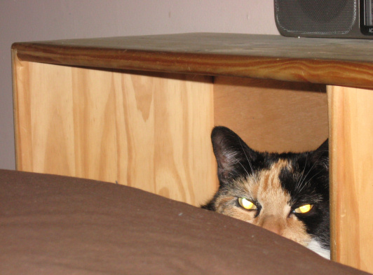 cathy in headboard bed