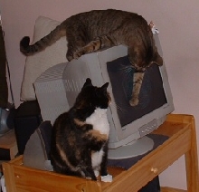 here we iz using da linuxputer