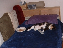 i not spoiled