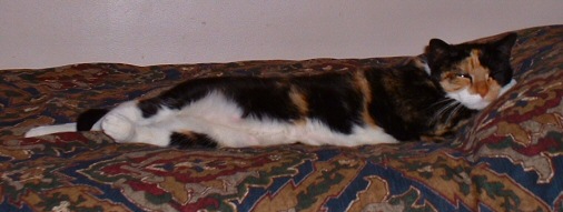 zzzzzzzzzzz !