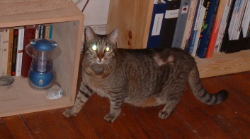 dis my new bruffer hissspit