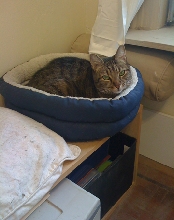 Justin Enjoying da circle Bed