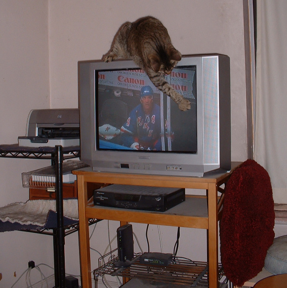 Take that!!!!