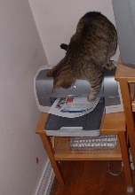 waiting furr a fax
