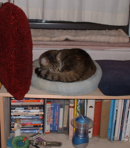 Justin on the circle pillow
