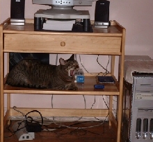 here i iz again