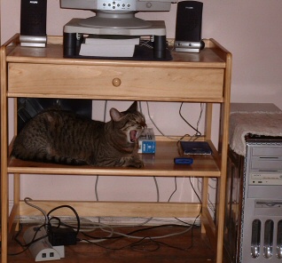 here i iz again