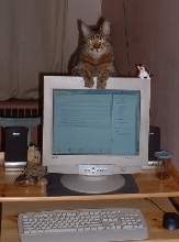 justin on da linux