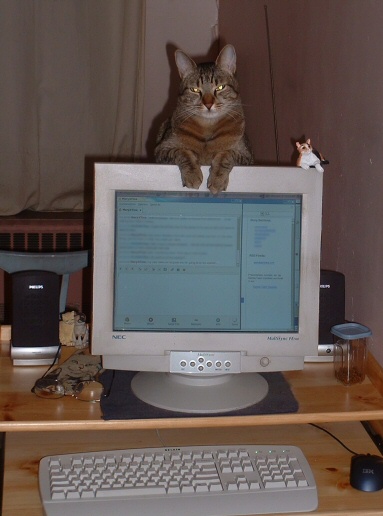 justin on da linux