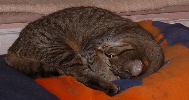 one eye open