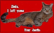 my Valentine's day meow