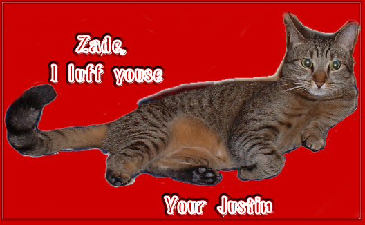 my Valentine's day meow