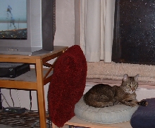 me by da window on a rainy day