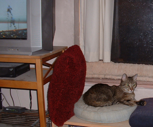 me by da window on a rainy day