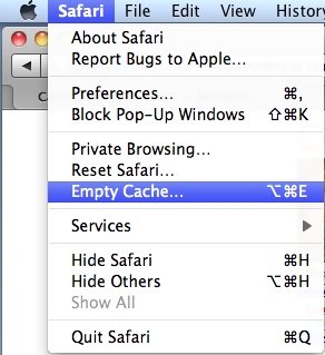 Clear Cache - Safari
