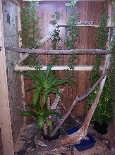 Cage with door open