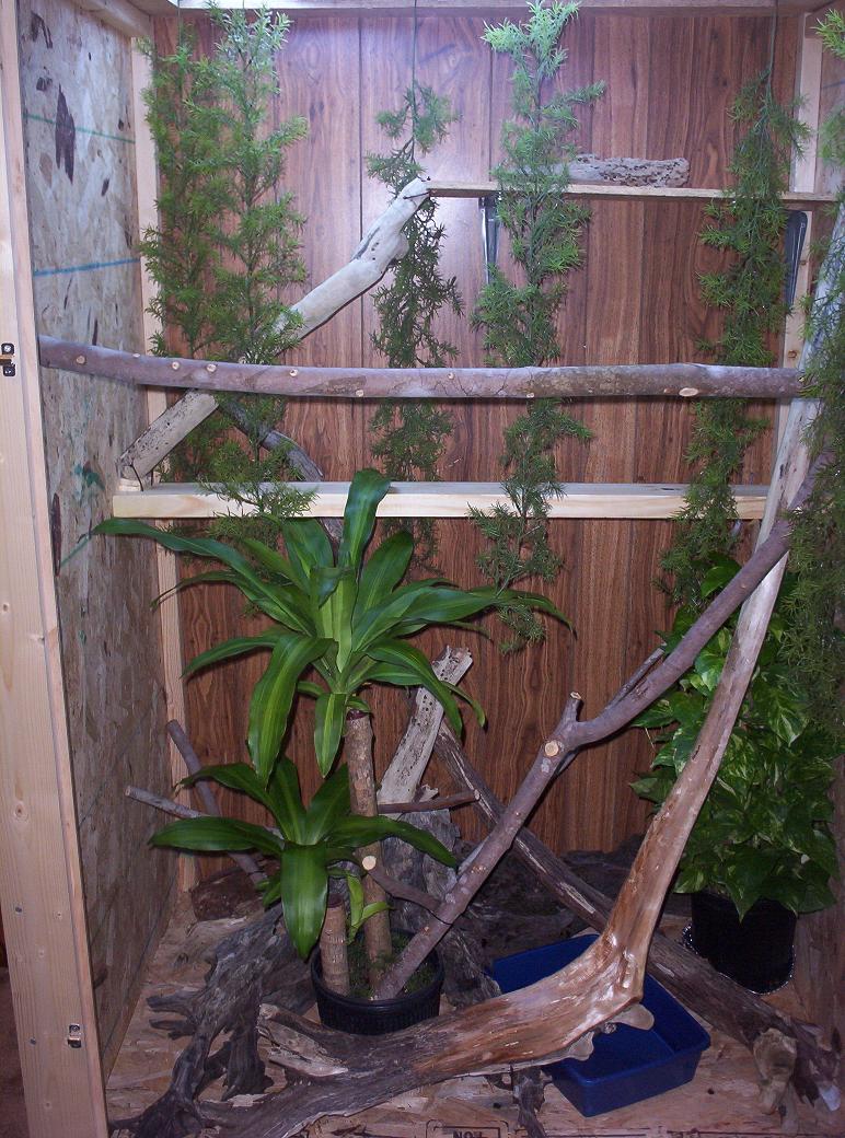 Cage with door open