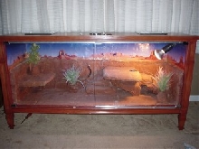 Dino's enclosure