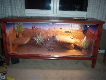 Dino's finished enclosure