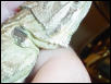 Chloe's ear