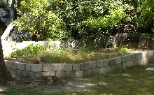 Turtle pen