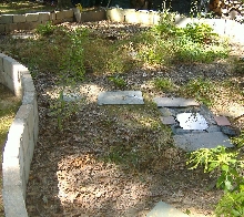 Turtle PEn
