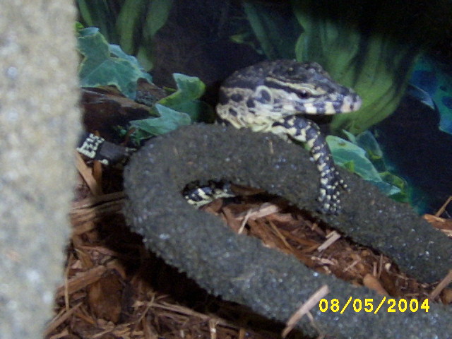 Jus chillin