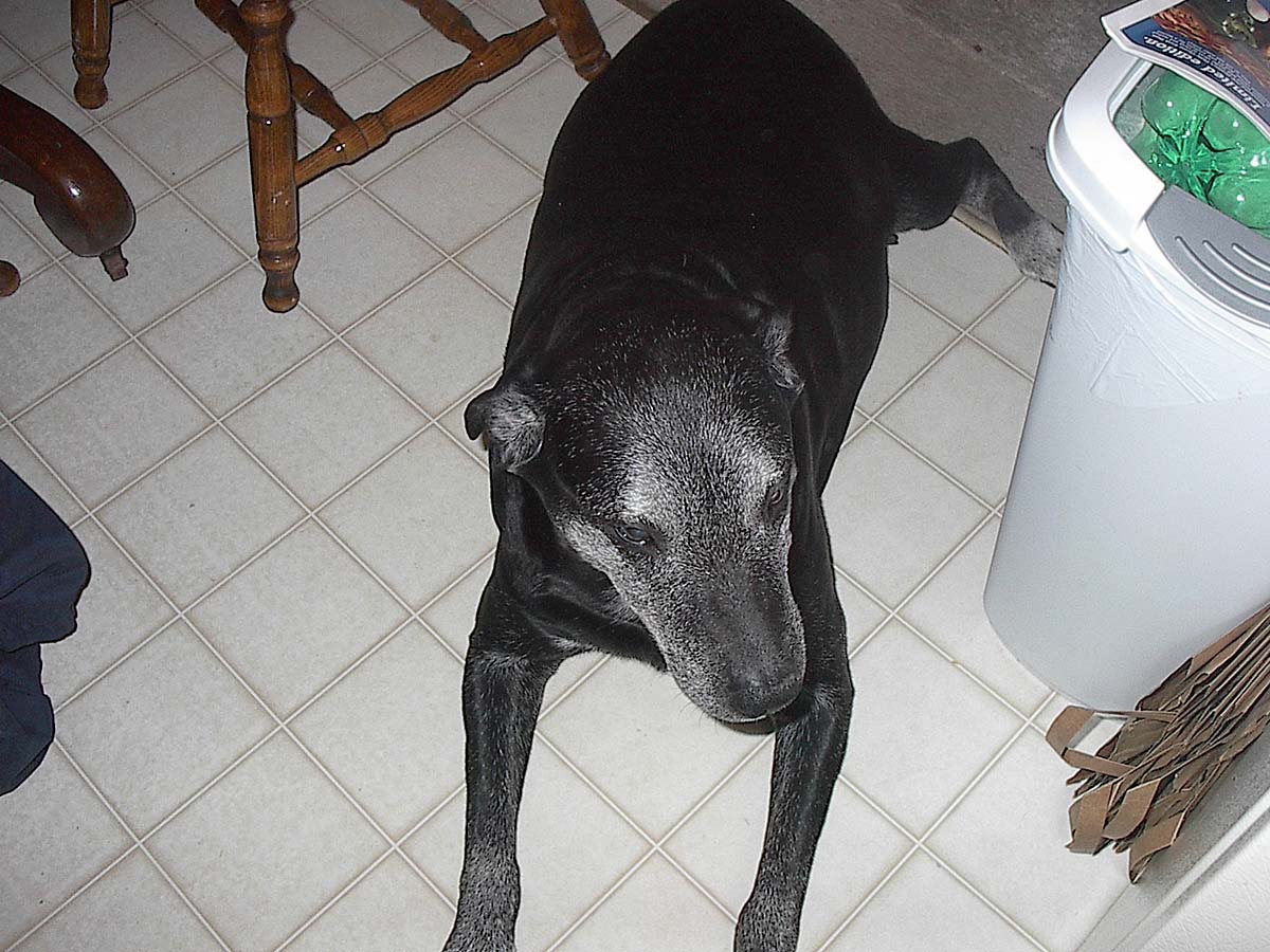 My baby dog.