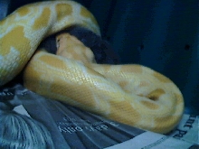 Feeding Monte