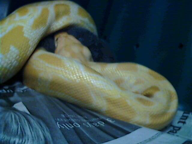 Feeding Monte