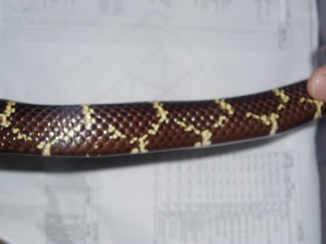 Easter Kingsnake Pattern