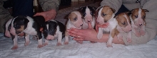 3 weeks old