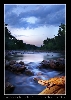 "In the wild" COMPOSITE IMAGE
