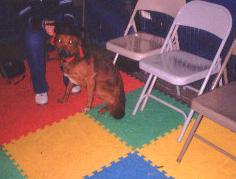 Dodger graduation