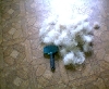 hair