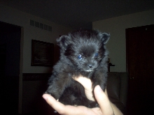 Tobi!