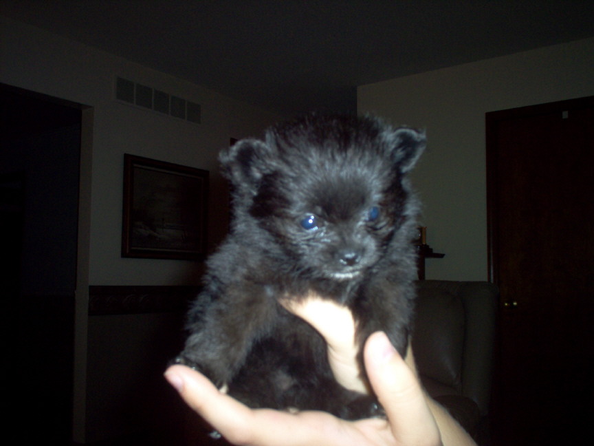 Tobi!