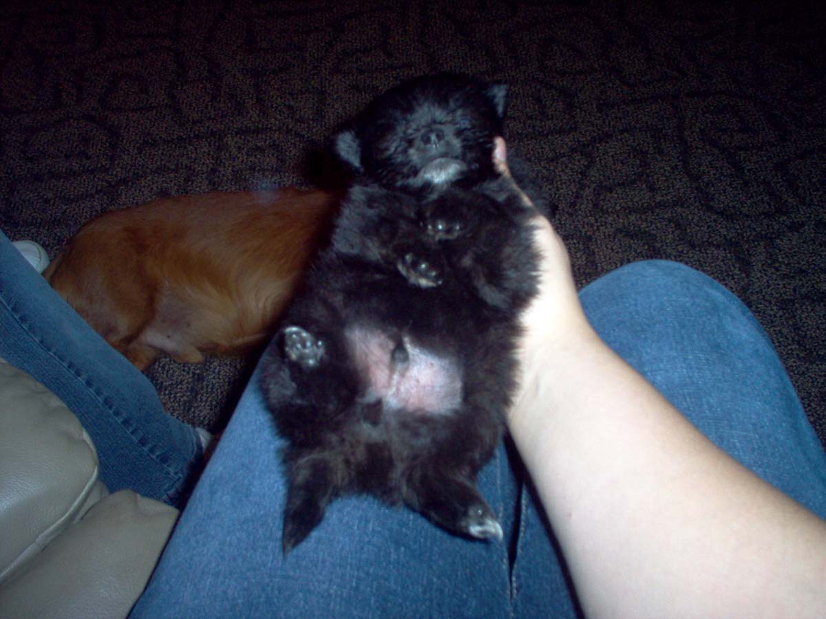 Tobi again