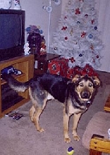 Jager again