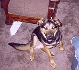 Jager