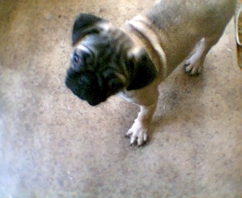 Oscar1