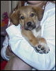 Libby1