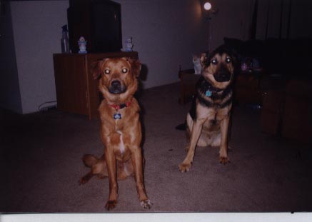 DodgerandJager