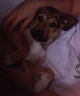 Libbylyingonme