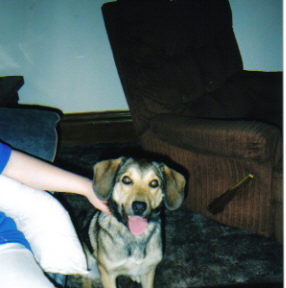 libby smiling