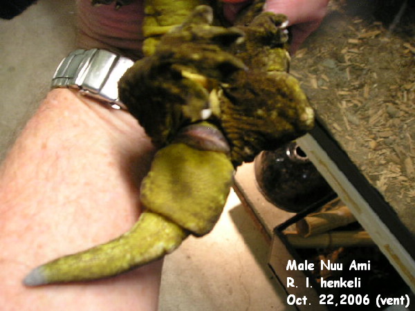 Patternless vent for ID