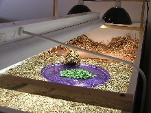 His indoor housing.