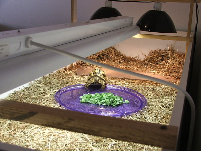 His indoor housing.