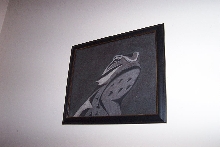 bearded dragon